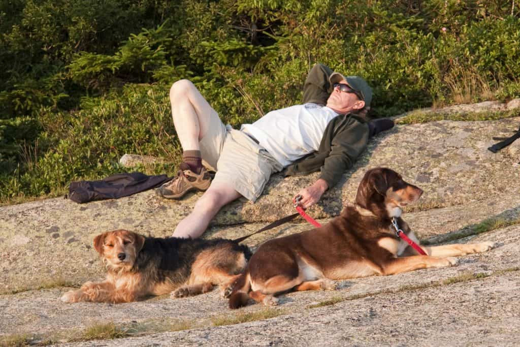 Dog Friendly Acadia National Park