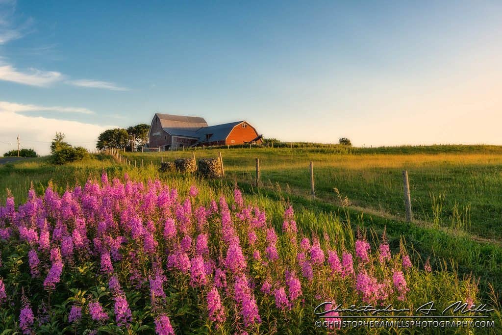 Aroostook County Maine barn field