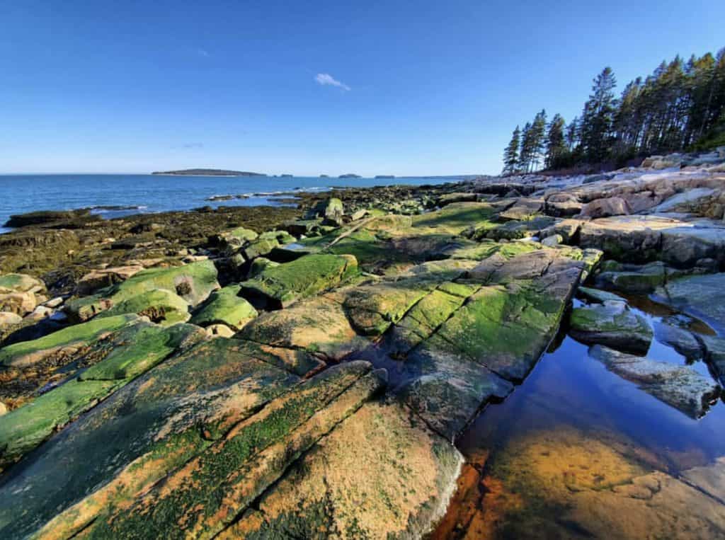 Low Tide Milbridge Nikki Graham maineterrain.com