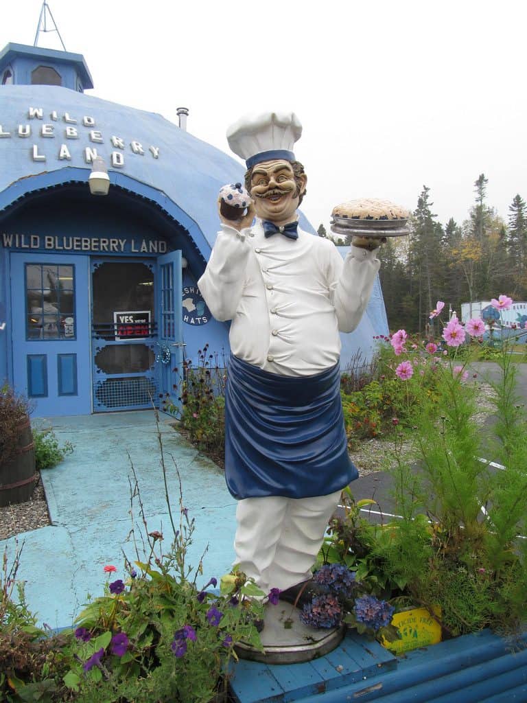 Wild Blueberry Land Columbia Falls Maine