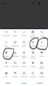 Snapseed Tool Screen with 3 tools circled