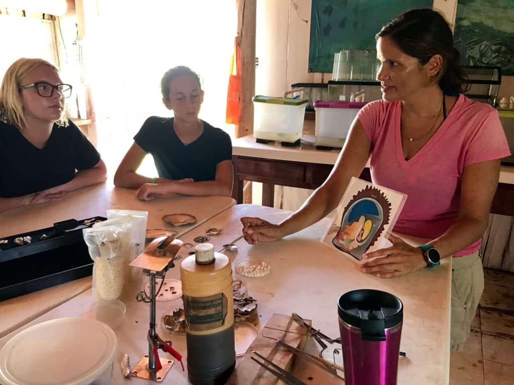 Inside the lab at Cozumel Pearl Farm