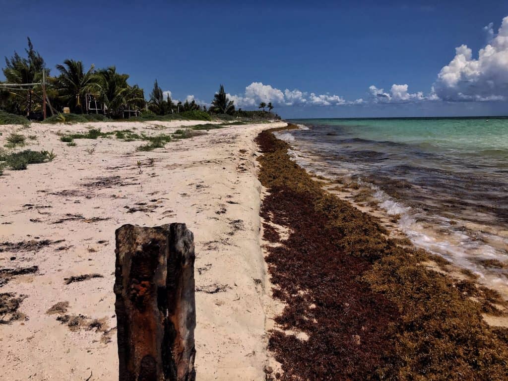 Prestine shoreline at Cozumel Pearl Farm 